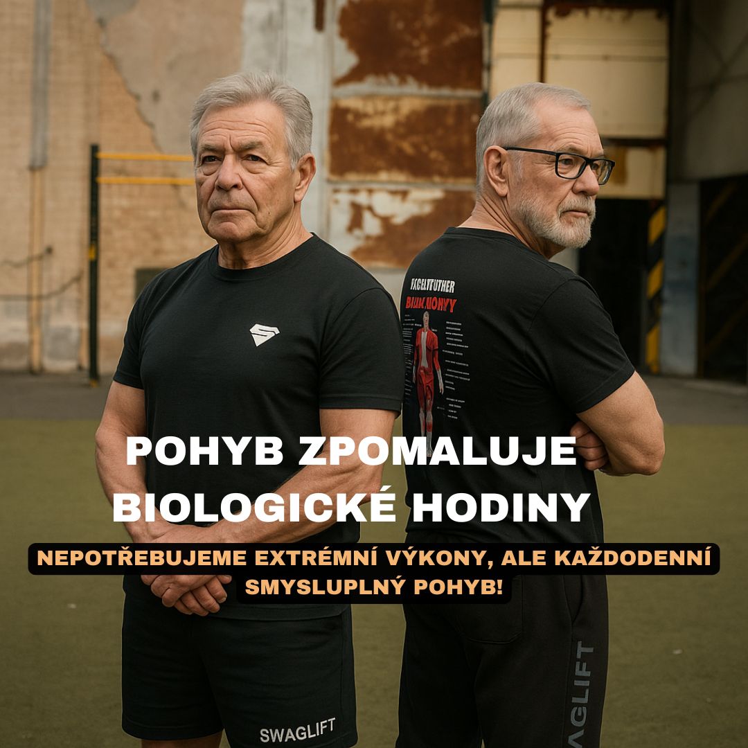 Kopie návrhu HUBNUTÍ (2)